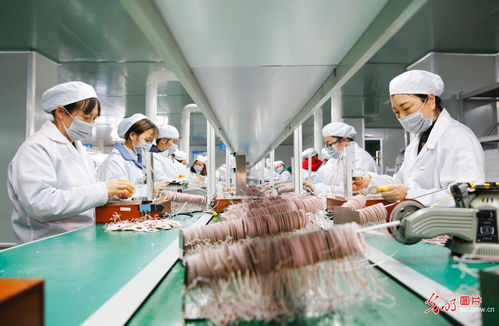 疫情下的外貿企業應對 寒冬