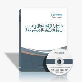 2016-2021年中國(guó)磁力鎖市場(chǎng)前景及投資機(jī)會(huì)研究報(bào)告
