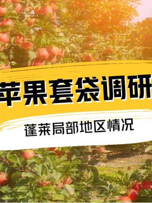 蘋果價(jià)格波動(dòng)背后的產(chǎn)業(yè)全景 從產(chǎn)區(qū)調(diào)研到市場(chǎng)應(yīng)對(duì)